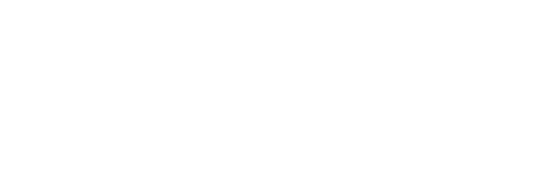 Startup Champions Network