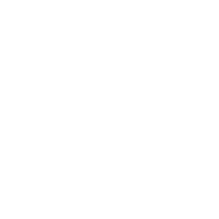 The NIIC