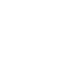 VANE